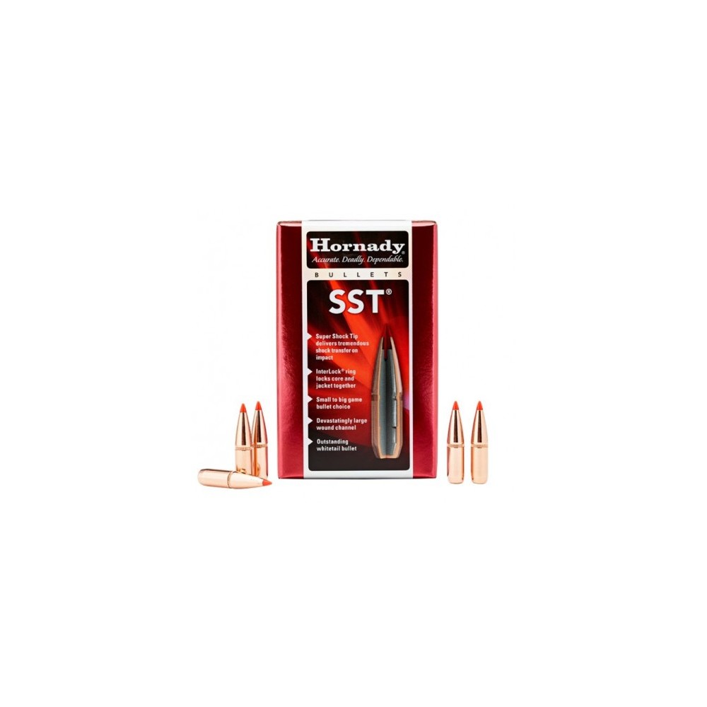 Hornady palle sst