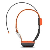 Garmin collare Alpha T20K