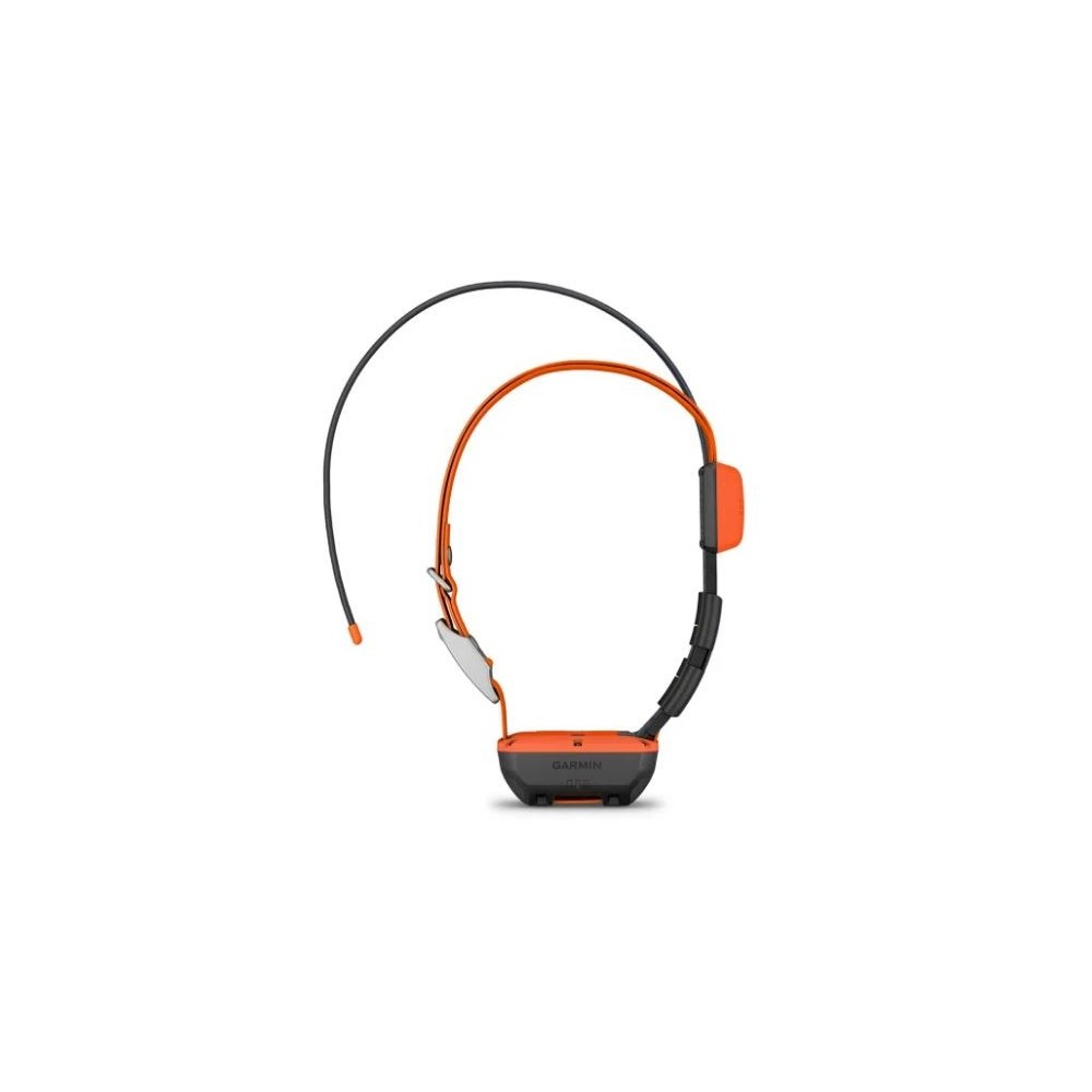 Garmin collare Alpha T20K