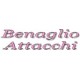 Benaglio Attacchi